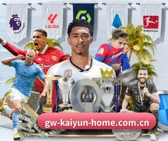 开云体育入口 APP（KaiyunSports）