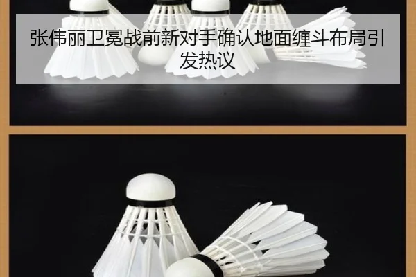 张伟丽卫冕战前新对手确认地面缠斗布局引发热议 - KaiyunSports